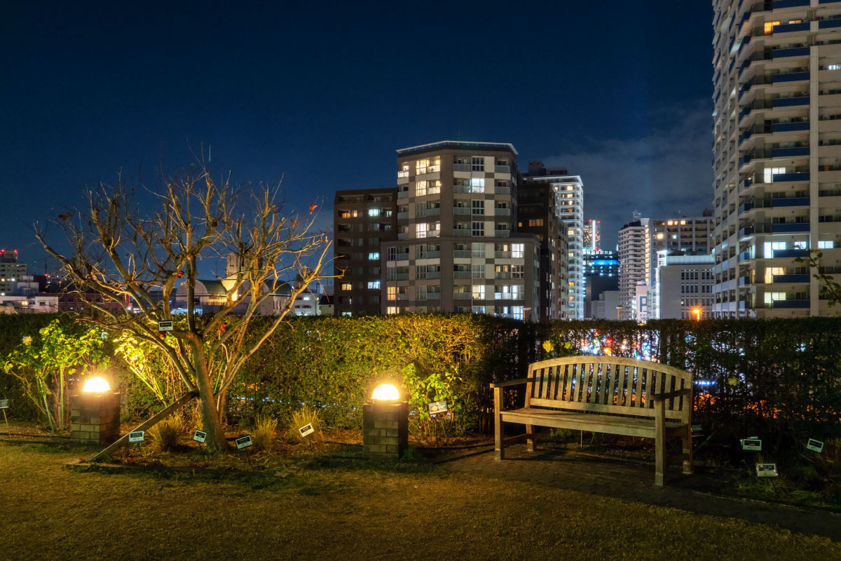 アメリカ山公園