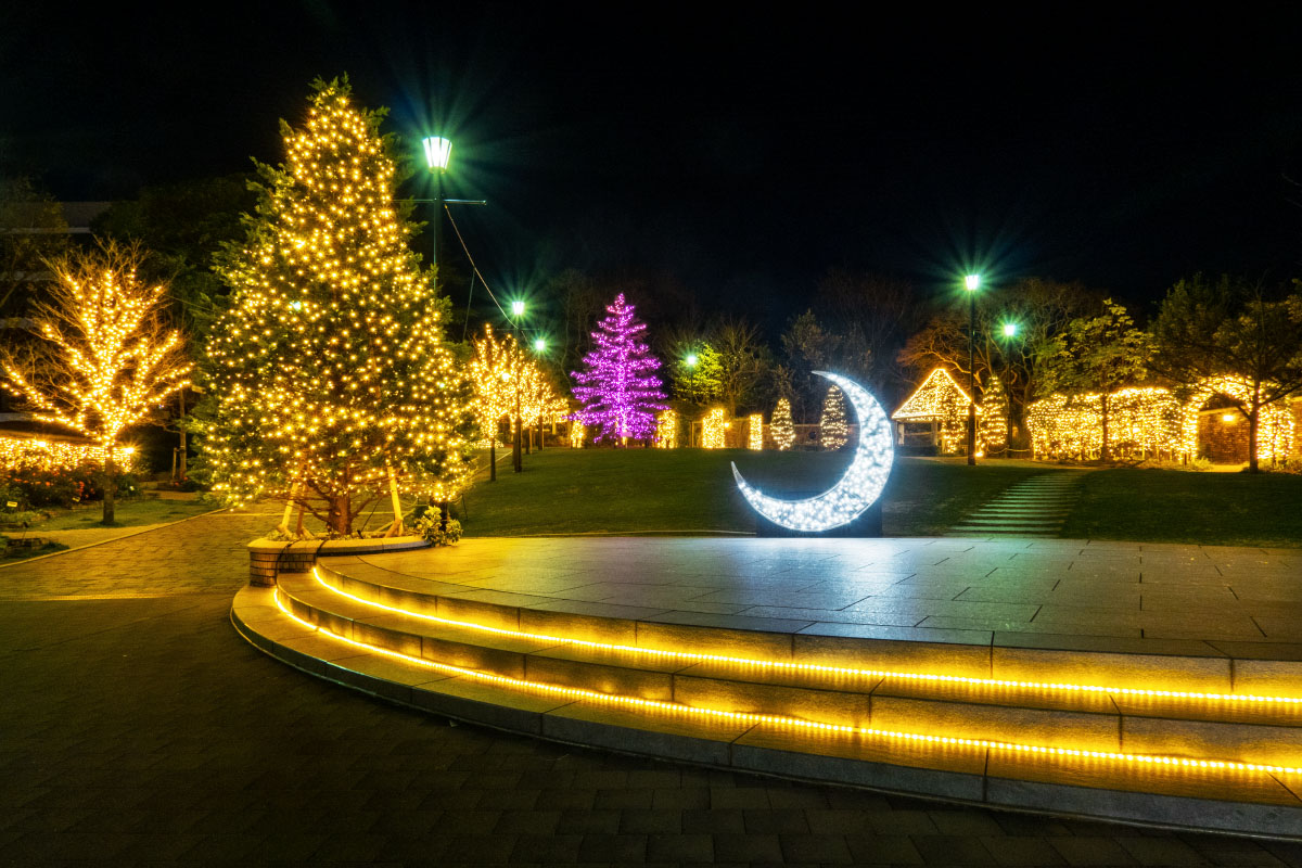 Sweet Memory in アメリカ山公園