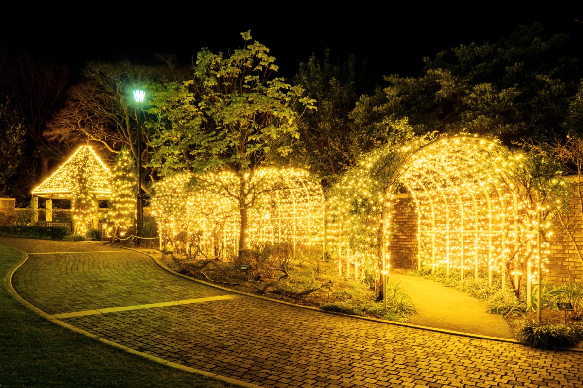 Sweet Memory in アメリカ山公園