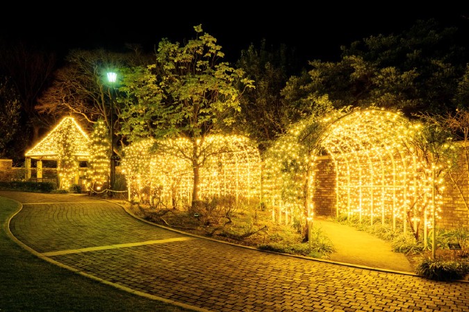 Sweet Memory in アメリカ山公園