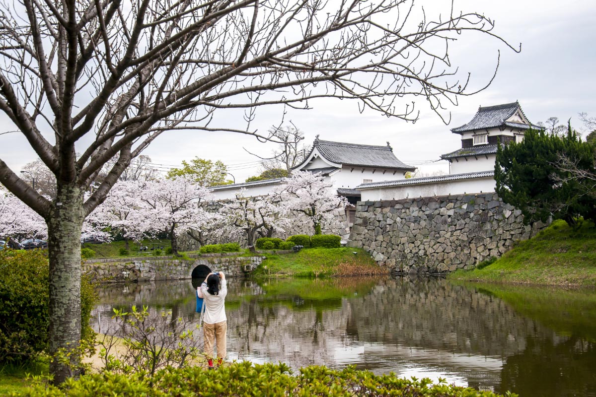 福岡城跡（舞鶴公園）