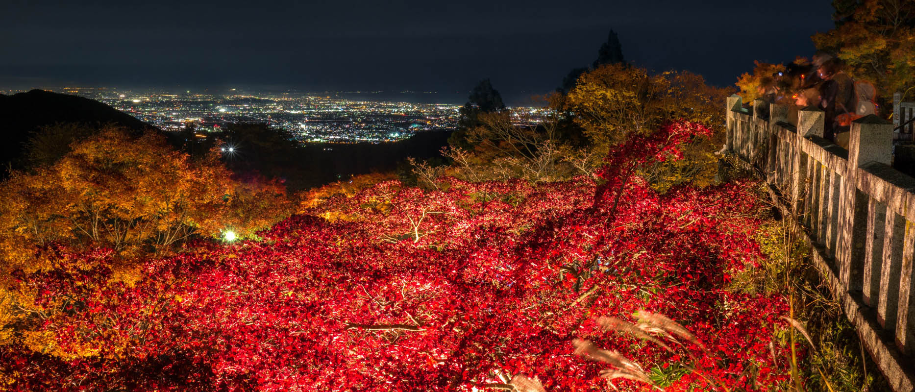 大山阿夫利神社下社