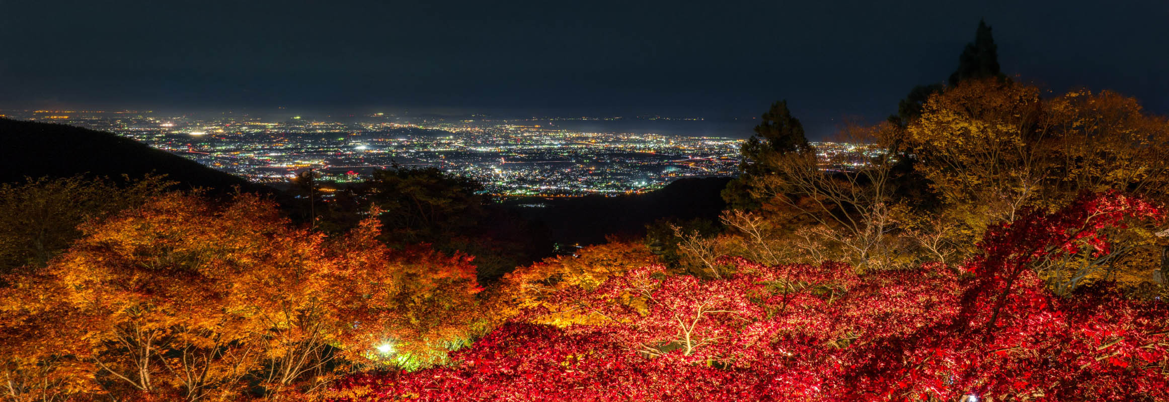大山阿夫利神社下社