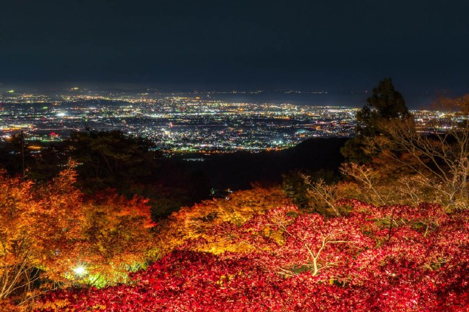 大山阿夫利神社下社