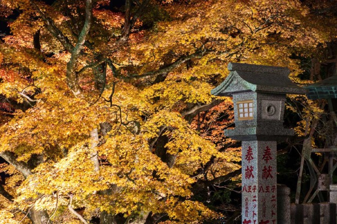 大山阿夫利神社下社