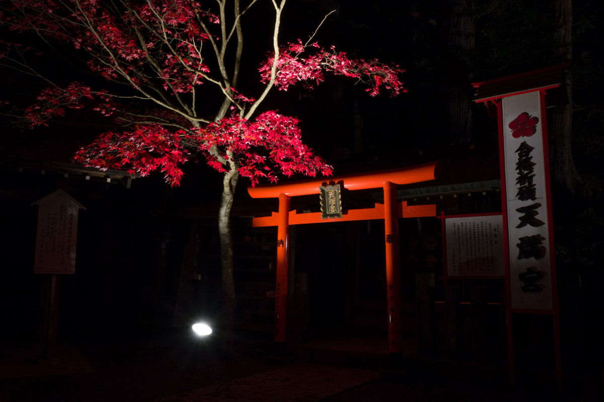 大山阿夫利神社下社