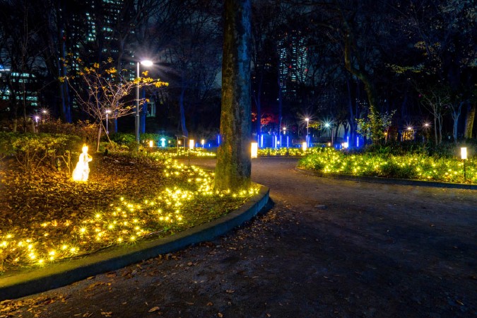新宿中央公園イルミネーション
