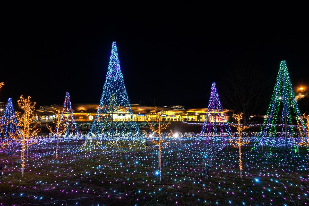 軽井沢・プリンスショッピングプラザ ウインターイルミネーション
