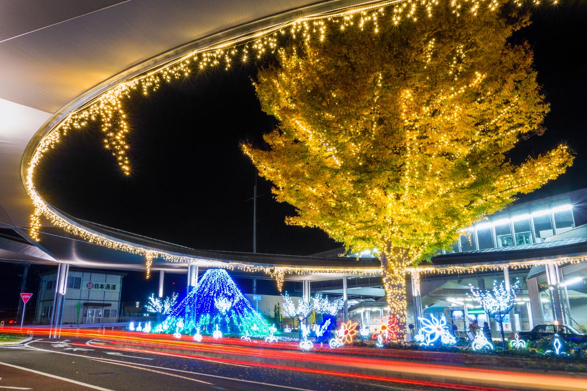 竜王駅 森のイルミネーション