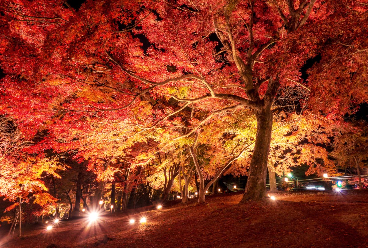 月の石もみじ公園