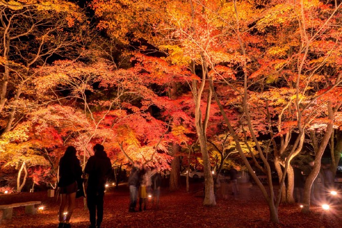 月の石もみじ公園