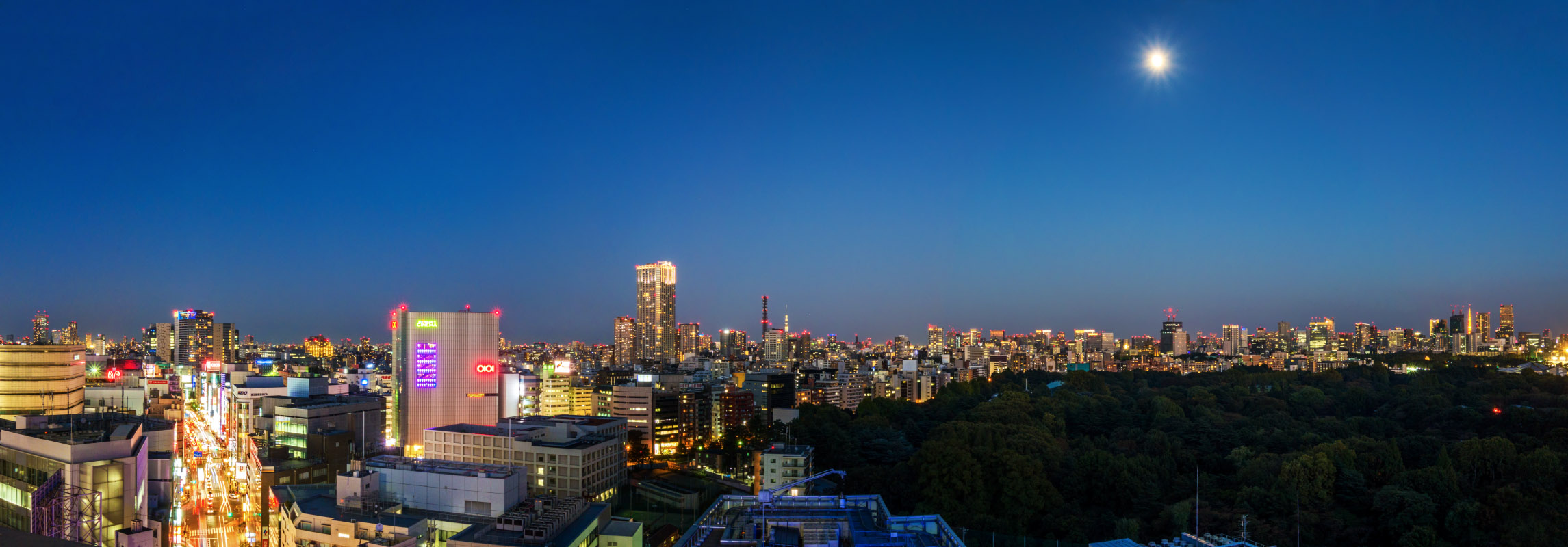 新宿高島屋タイムズスクエア ホワイトガーデン