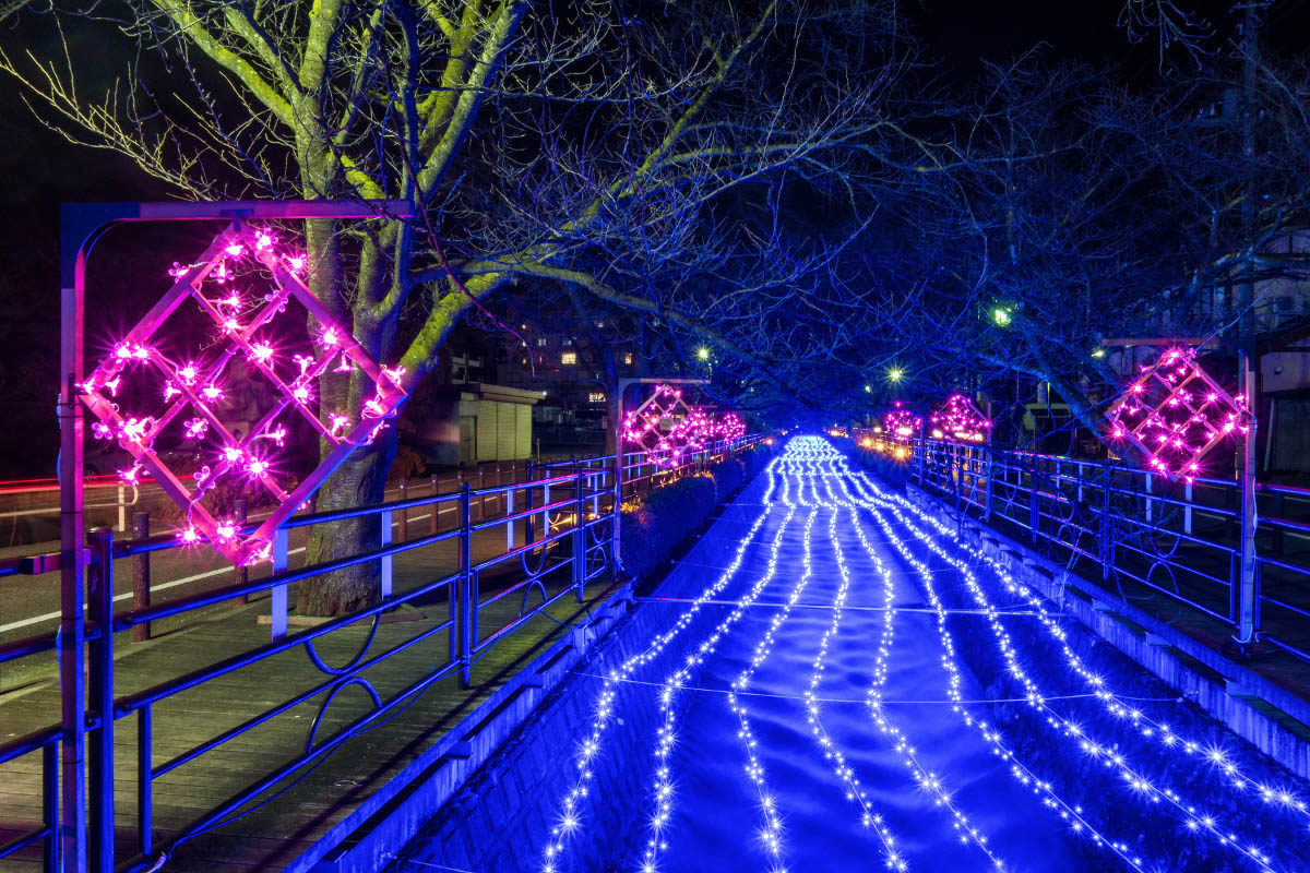 さくら温泉通りイルミネーション