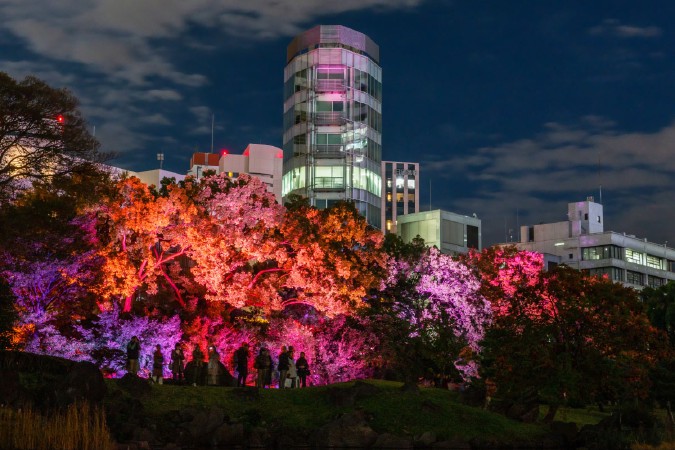 旧芝離宮恩賜庭園