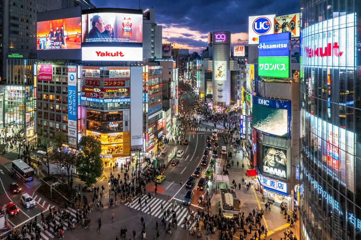 MAGNET CROSSING VIEW