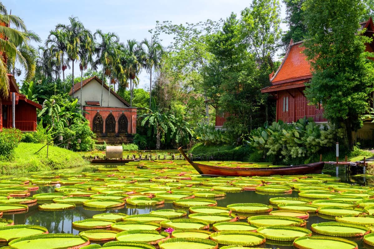 マードゥーブアカフェ