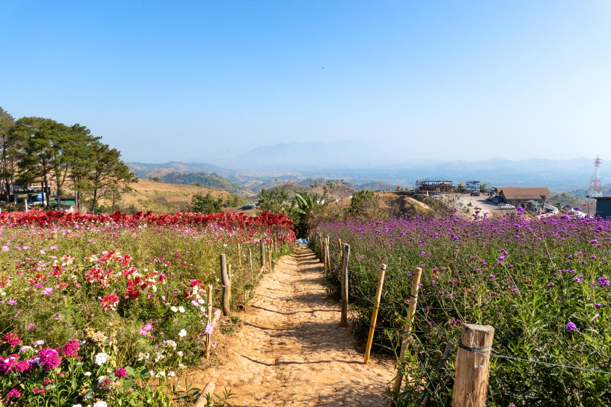 ライ・ジービー