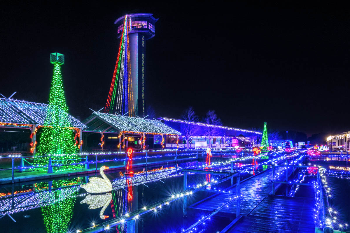 古代蓮の里イルミネーション