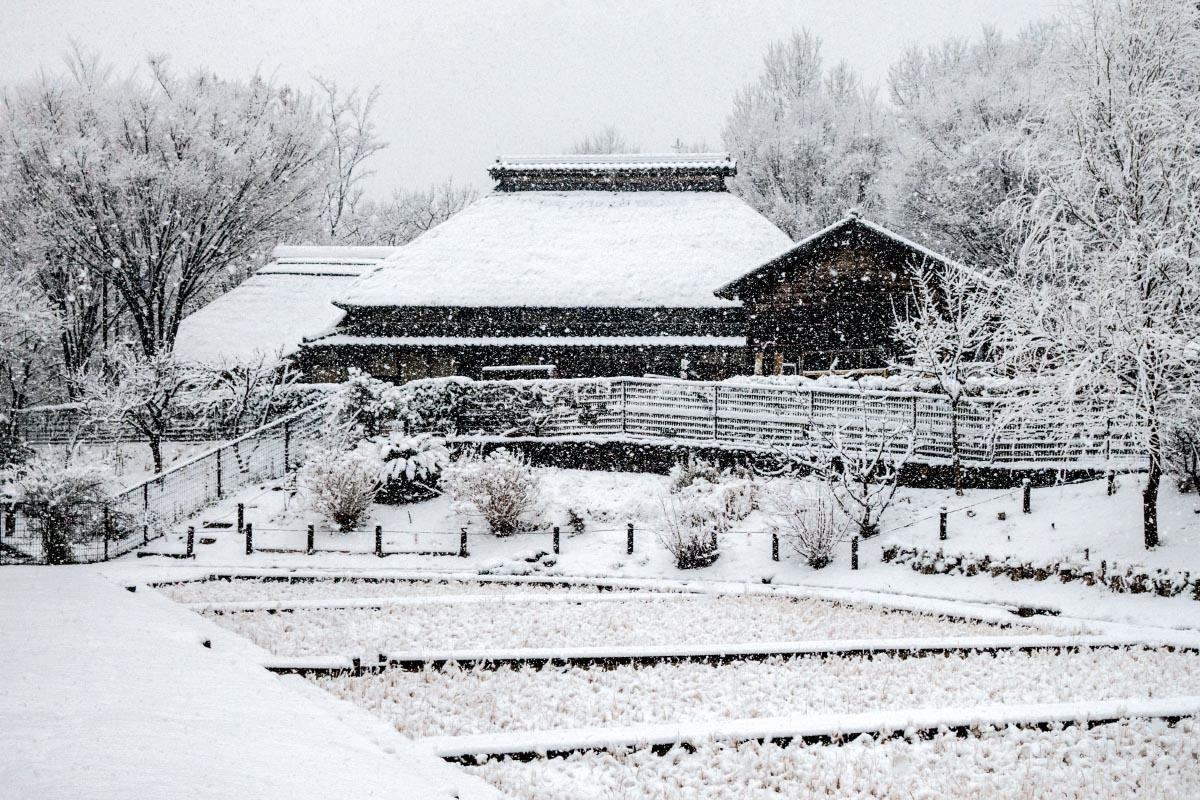 赤羽自然観察公園
