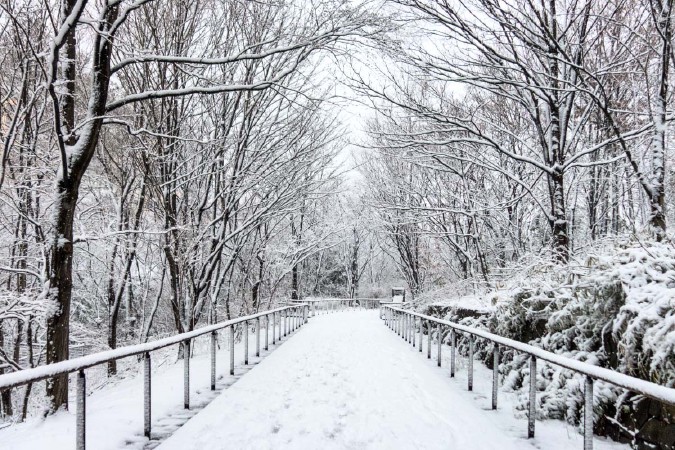 赤羽自然観察公園