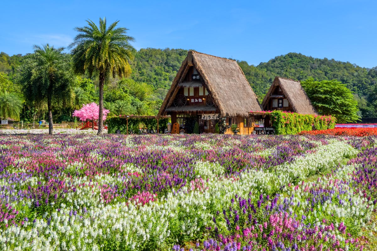 カオヤイ 北海道フラワーパーク