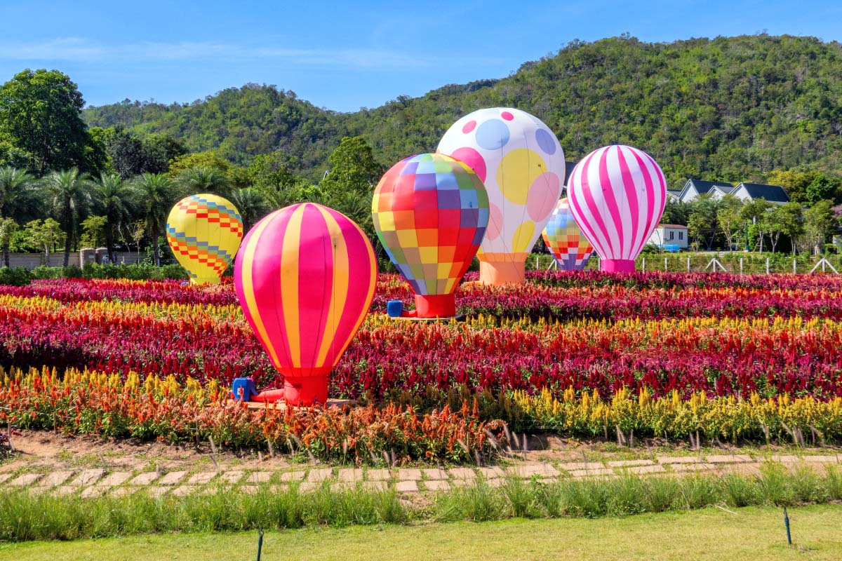 カオヤイ 北海道フラワーパーク
