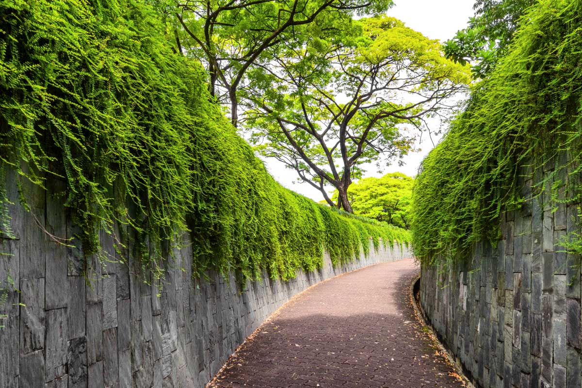 フォート・カニング・パーク